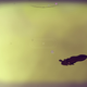 Illustration for article titled First day of No Mans Sky in screenshots (on PC)
